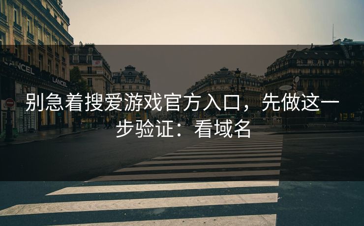 别急着搜爱游戏官方入口，先做这一步验证：看域名